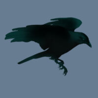 Raven Shadow, Unisex Tee Design